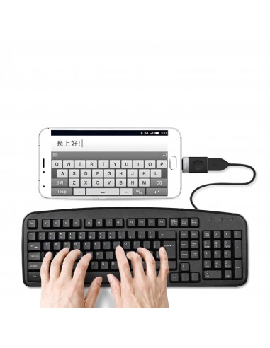 Adaptateur Type-C et USB Convertisseur  OTG