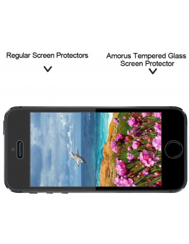Film en verre trempé iphone SE 5s 5 AMORUS