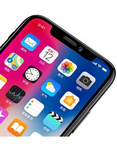 Film en verre trempé iPhone X AMORUS
