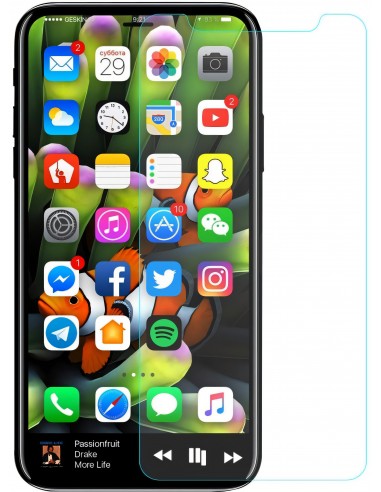 Film en verre trempé iPhone X