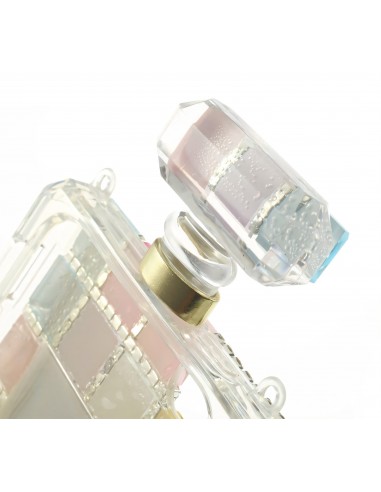 Coque iPhone 5S et 5 fantaisie Bouteille de Parfum Diamant avec chaine