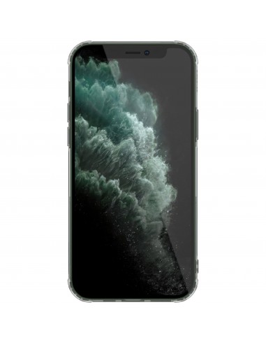 Coque de protection iPhone 12 Pro Max Transparente NILLKIN - Transparent