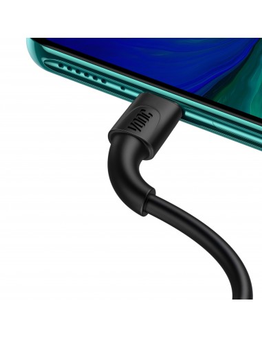 Câble Type C Flash Charge - 2 mètres - BASEUS Noir