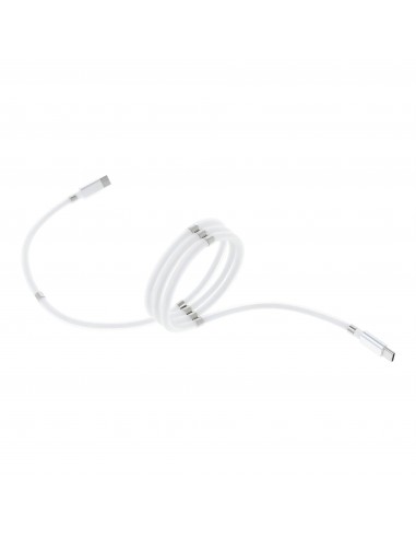 Câble Type C - Type C - Fast charge -Power Delivery enroulement magnetique 3A C676 blanc 1m