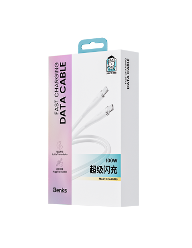 Câble Type-C vers Type-C | Charge rapide | 100W | 1m | Blanc