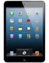 iPad Mini