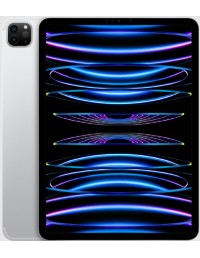 iPad Pro 11 M2 2022
